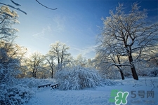 下雪天會打雷嗎？下雪天為什么會大雷？