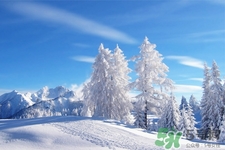 下雪天會打雷嗎？下雪天為什么會大雷？