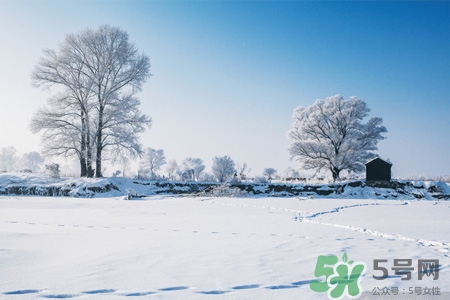 下雪天會打雷嗎？下雪天為什么會大雷？