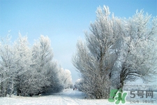 下雪天會打雷嗎？下雪天為什么會大雷？