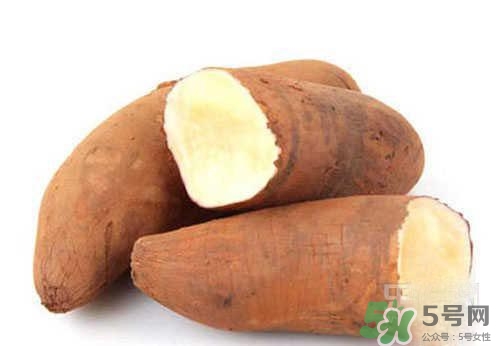 產婦可以吃雪蓮果嗎？哺乳期可以吃雪蓮果嗎？