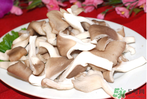 孕婦可以吃平菇嗎？孕婦吃平菇有什么好處？
