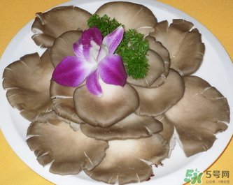 平菇是發物嗎？平菇是不是發物？