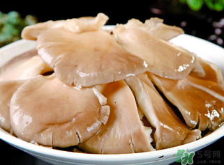 平菇是發物嗎？平菇是不是發物？