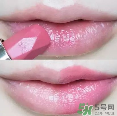 tatcha白管好還是黑管好?tatcha白管和黑管區別
