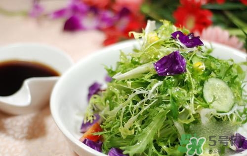苦菊可以減肥嗎？苦菊怎么吃可以減肥？