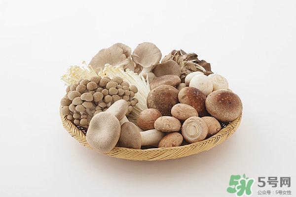 洋菇的營養價值 洋菇的功效與作用