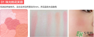 canmake花瓣腮紅珠光還是啞光好？canmake腮紅珠光好看還是啞光？