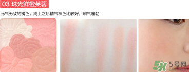 canmake花瓣腮紅珠光還是啞光好？canmake腮紅珠光好看還是啞光？