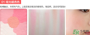 canmake花瓣腮紅珠光還是啞光好？canmake腮紅珠光好看還是啞光？