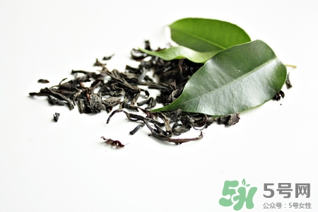 腎結石可以喝苦丁茶嗎?有什么好處呢