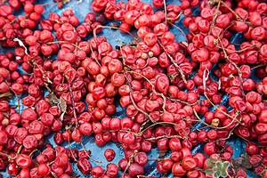 五味子茶韓國怎么喝？五味子茶的五種味道代表什么？