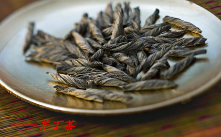苦丁茶需要洗茶嗎 苦丁茶怎么泡最好