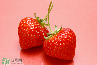 冬天有草莓嗎？冬天的草莓能吃嗎？