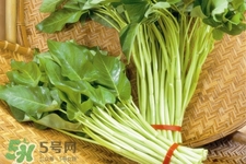 冬天可以吃空心菜嗎？冬天排毒多吃空心菜