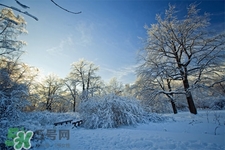 冬天怕冷吃什么好？冬天怕冷吃什么食物？