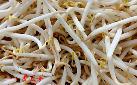 豆芽是什么季節的菜 豆芽是用什么豆發出來的