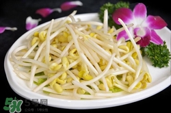 產婦可以吃黃豆芽嗎?產婦吃黃豆芽下奶嗎