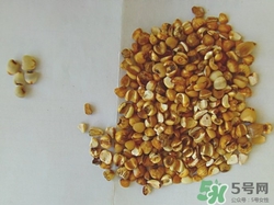 薏米發霉了還能吃嗎?薏米發霉圖片