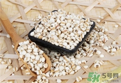 薏米發霉了還能吃嗎?薏米發霉圖片