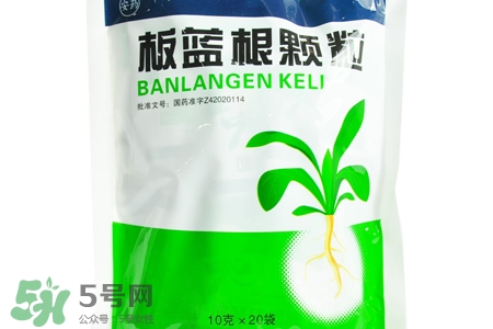 板藍根能天天喝嗎？板藍根可以經常喝嗎？