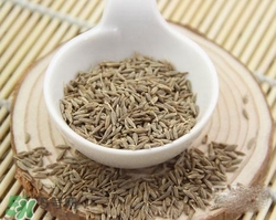 小茴香是孜然嗎？小茴香和孜然的區別