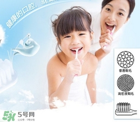 獅王牙刷怎么辨別真假？獅王牙刷真假對(duì)比
