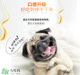 狗狗營養(yǎng)膏什么牌子好？狗狗營養(yǎng)膏多少錢？