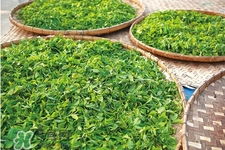 冬天濕氣重喝什么茶？濕氣重應該喝這7款茶