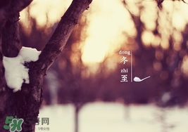 冬至要上墳嗎？冬至為什么要上墳？
