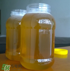 冬蜜好還是春蜜好？冬蜜和春蜜的區別