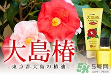 大島椿護(hù)發(fā)精油多少錢？大島椿護(hù)發(fā)精油日本價(jià)格