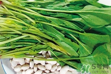 菠菜熱量高嗎？菠菜吃多了會發胖嗎？
