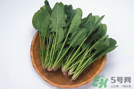 吃菠菜能減肥嗎？3日菠菜減肥食譜減肥不反彈