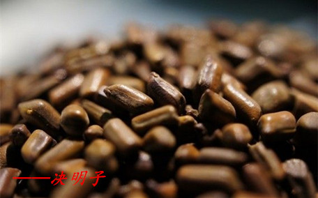 決明子會生蟲子嗎 決明子生蟲子了還能用嗎