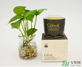 姬存希是哪個(gè)國(guó)家的？姬存希是哪里產(chǎn)的？