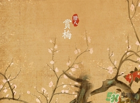 臘八節(jié)出生的女寶寶怎么取名？臘八節(jié)出生的男寶寶怎么取名？