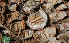 筍干發霉了還能吃嗎?筍干發黑還能吃嗎?