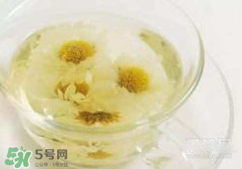 菊花茶什么時(shí)候喝最好？菊花茶什么季節(jié)喝最好？