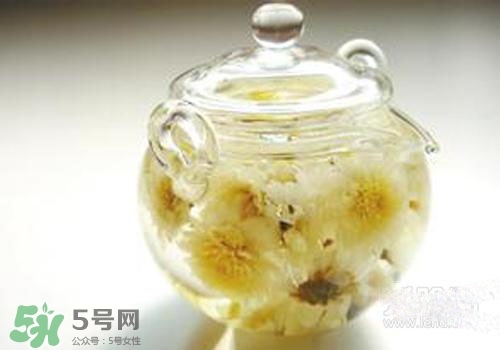 菊花茶什么時(shí)候喝最好？菊花茶什么季節(jié)喝最好？