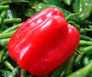 辣椒變紅能吃嗎？辣椒為什么會變紅？