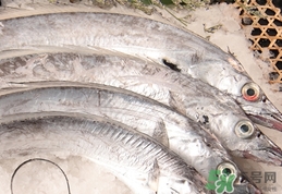 帶魚(yú)不能和什么一起吃?帶魚(yú)不能和什么同吃?