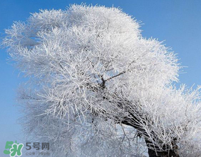 2017年第一場雪什么時候？2017年什么時候下雪？