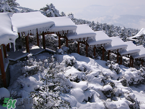 2017年第一場雪什么時候？2017年什么時候下雪？