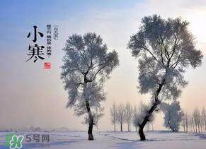 小寒和大寒哪個冷？小寒大寒什么意思？