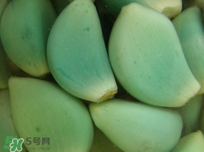 臘八醋里的蒜能吃嗎？臘八醋里的蒜好吃嗎？
