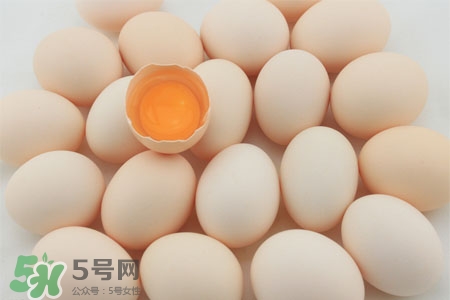 2017過年雞蛋會漲價嗎？2017年春節雞蛋價格預測