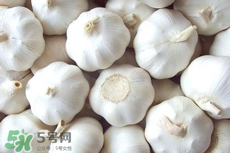 2017過年大蒜會漲價嗎？2017年春節大蒜價格預測