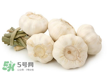 2017過年大蒜會漲價嗎？2017年春節大蒜價格預測