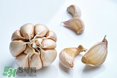 2017過年大蒜會漲價嗎？2017年春節大蒜價格預測